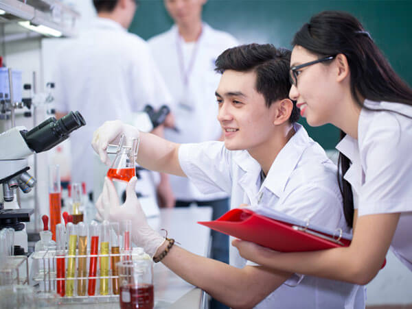 Cho thuê chứng chỉ hành nghề dược