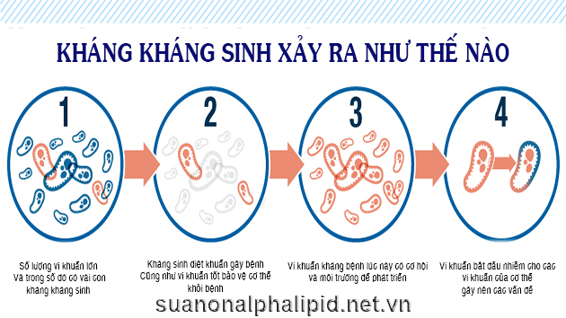 THUỐC KIỂM SOÁT ĐẶC BIỆT