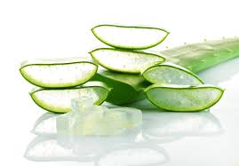 Aloe vera extract