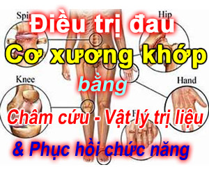 BÁC SĨ CHÂM CỨU, TẬP VẬT LÝ TRỊ LIỆU CHỮA LIỆT TẬN NHÀ TP HCM