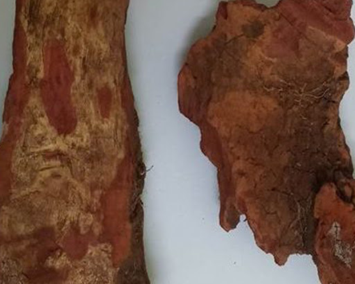 Bán Cao Huyết giác