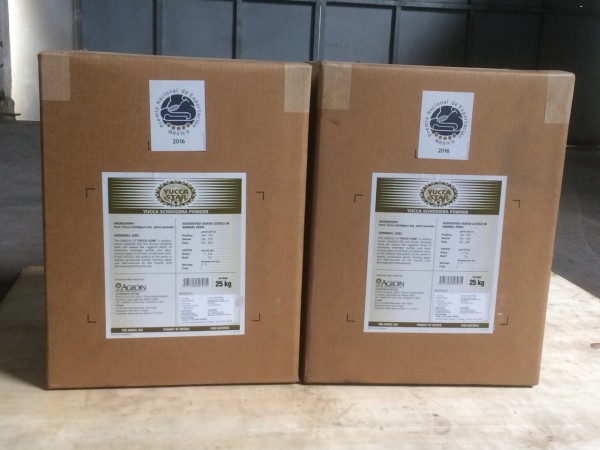 Bán Yucca nguyên liệu Mexico, yucca bột, yucca nước, chất hấp thu khí độc NH3, NO2, H2S,...