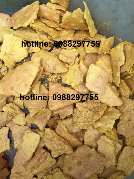 Berberin - Chiết suất từ cây Vàng Đắng