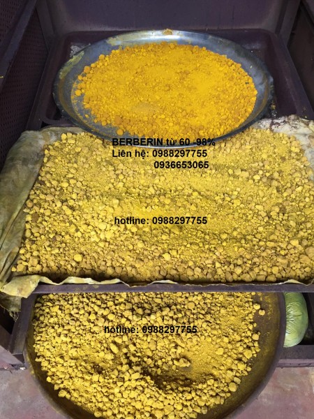 Berberin tự nhiên 60%-98%