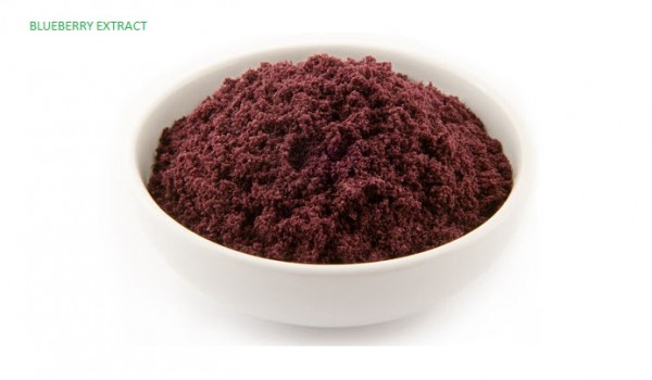 Blueberry Extract