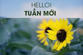 Cần hợp tác ds có cchn đang sống và lm việc khu vực phía nam và miền tây 