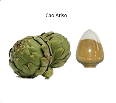 Cao Atiso