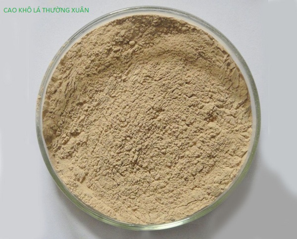 Cao khô lá thường xuân Hedera helix extract