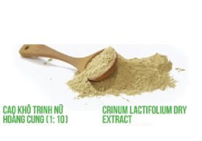 Cao Trinh nữ hoàng cung