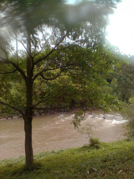 Cho thuê CCHN 3 năm 0984536829 (HCM-Bình Dương-Biên Hòa)