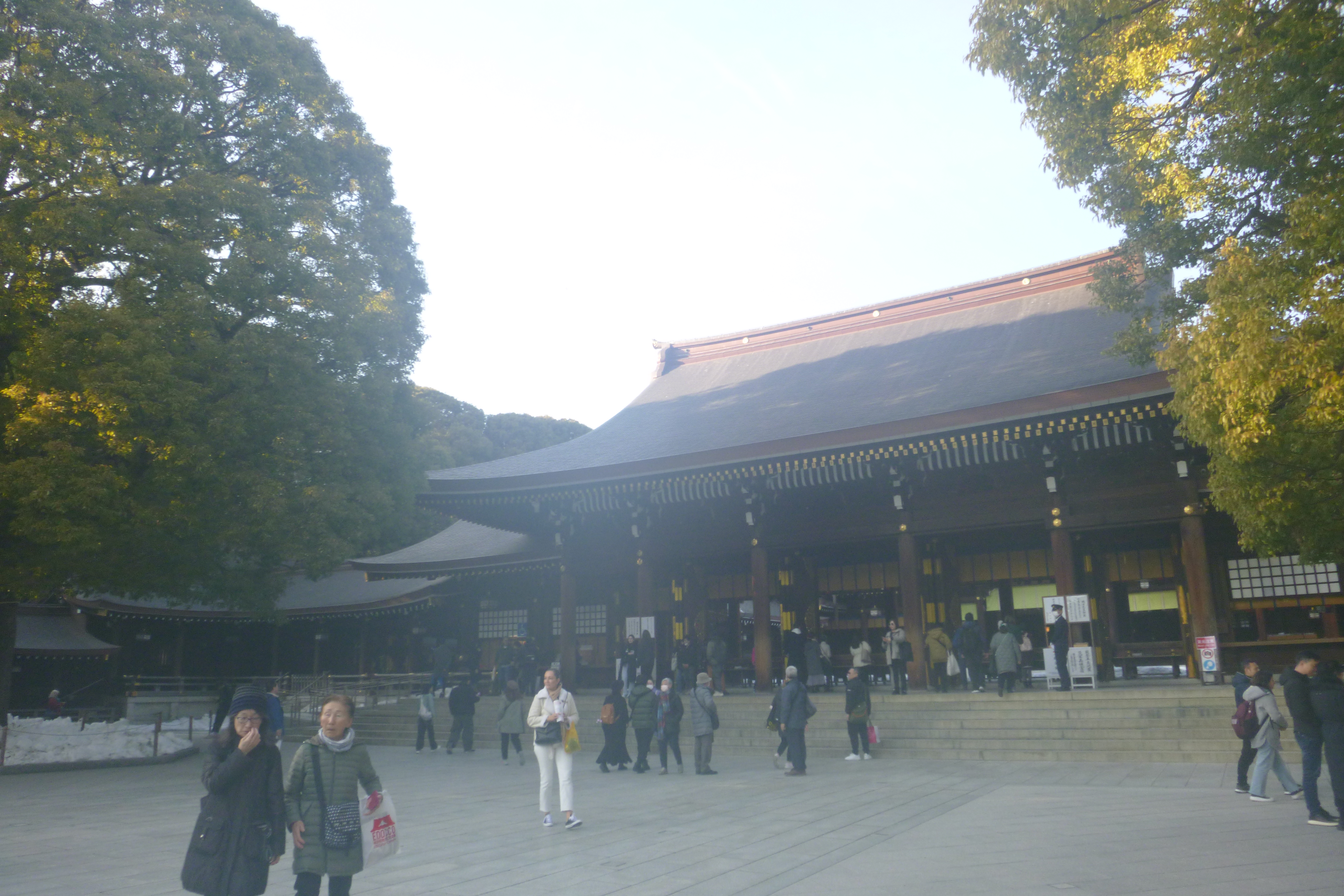 CHO THUÊ CCHN BS YHCT/ ĐÔNG Y