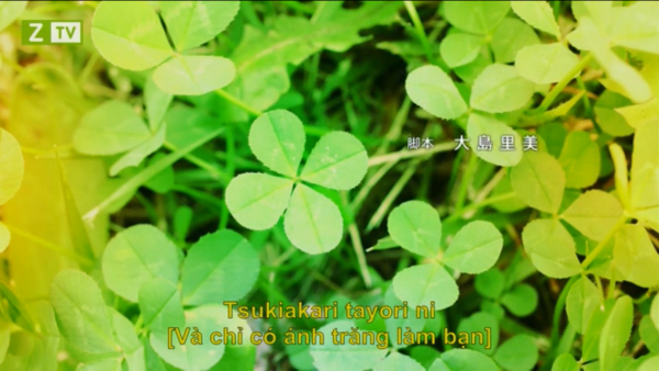 cho thuê chứng chỉ hành nghề dược 5 năm 