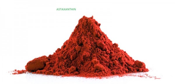Cung cấp Astaxanthin