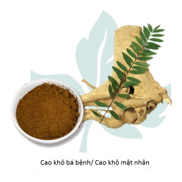Cung cấp cao khô bá bệnh
