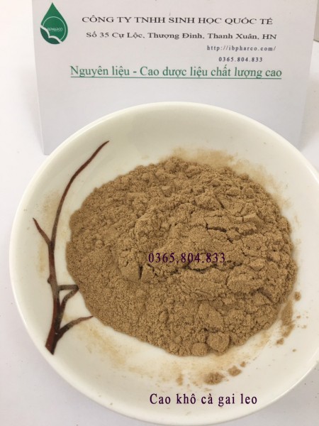 Cung cấp cao khô cà gai leo