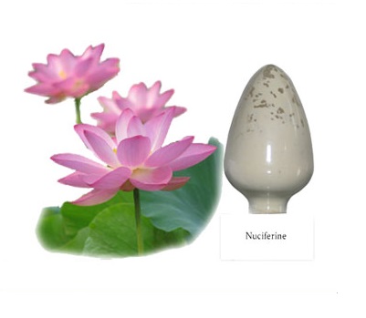 Cung cấp nguyên liệu cao khô lá sen