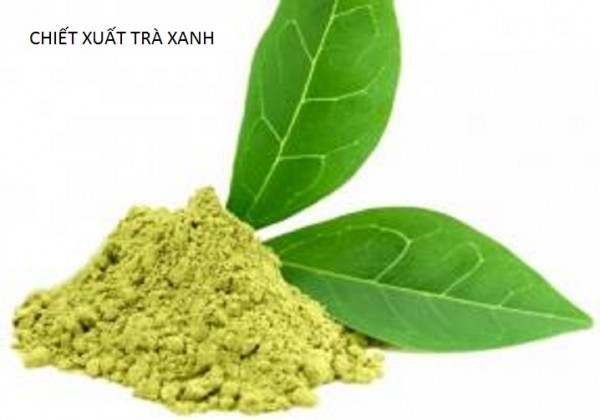 Cung cấp nguyên liệu Green Tea Extract
