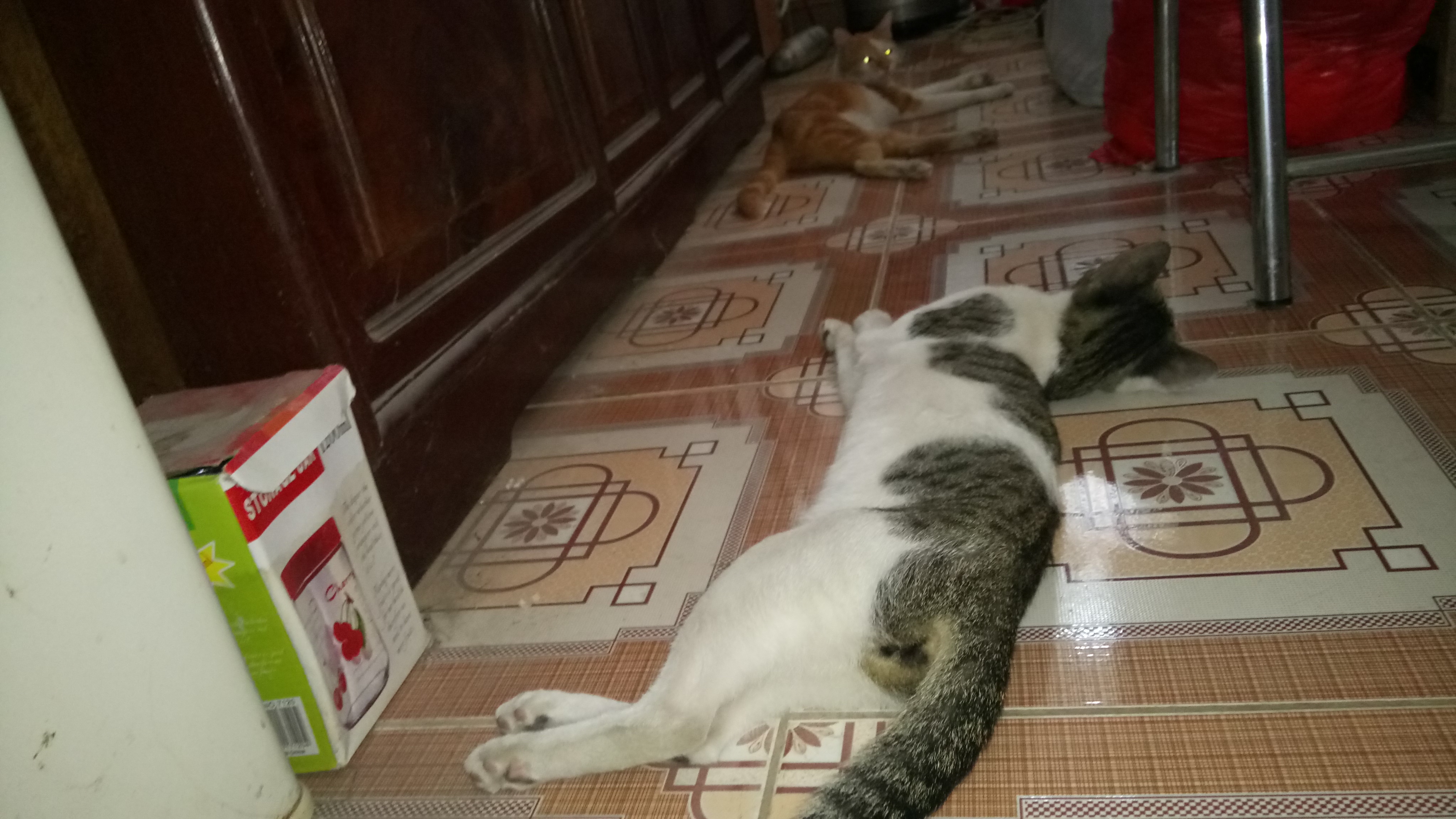 Dược sĩ cần hợp tác.