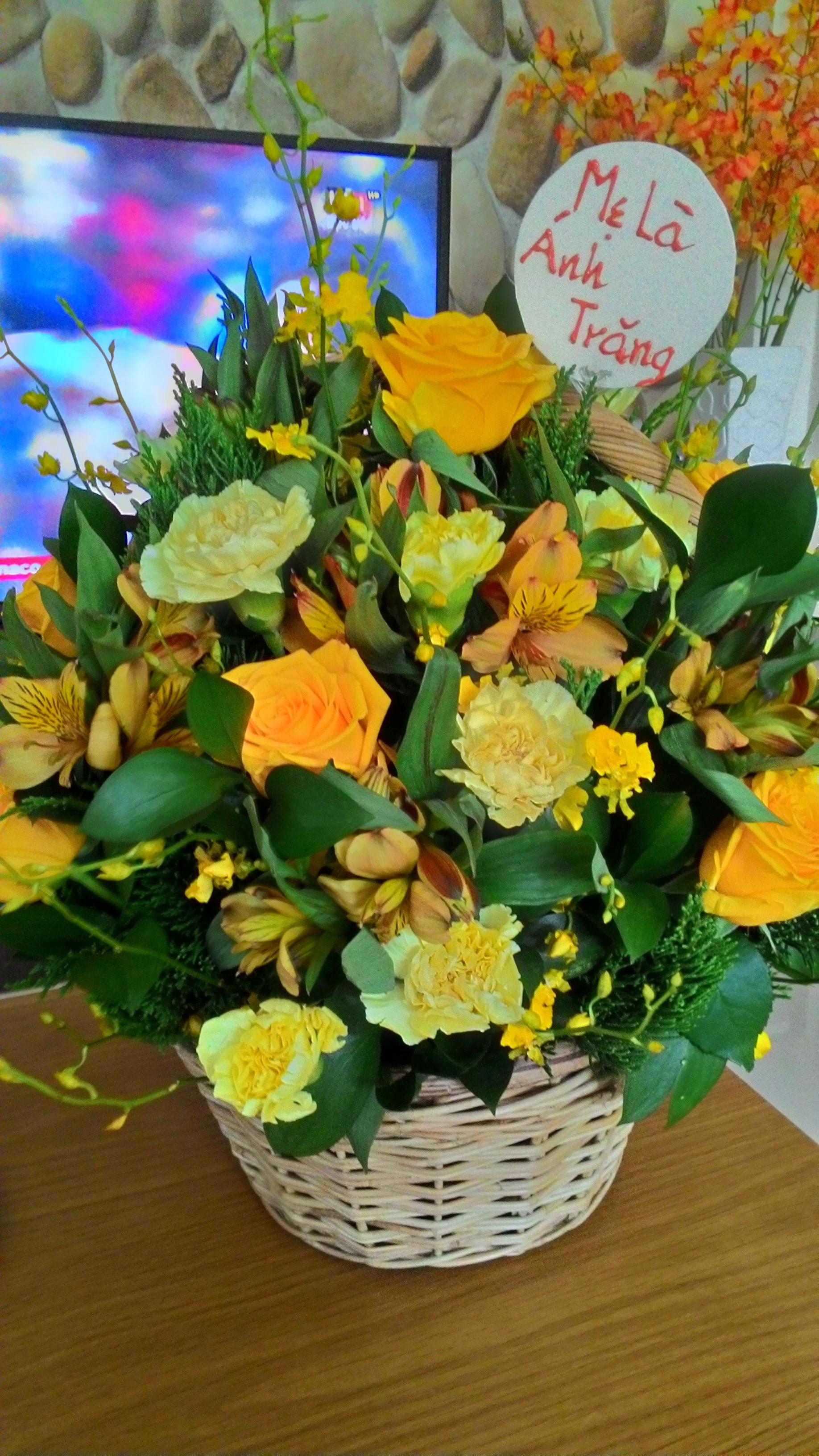 Dược sĩ có CCHN về hưu cần hợp tác