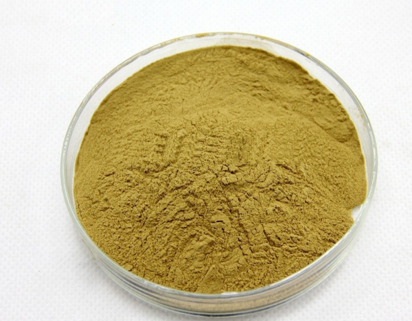 Fucoidan