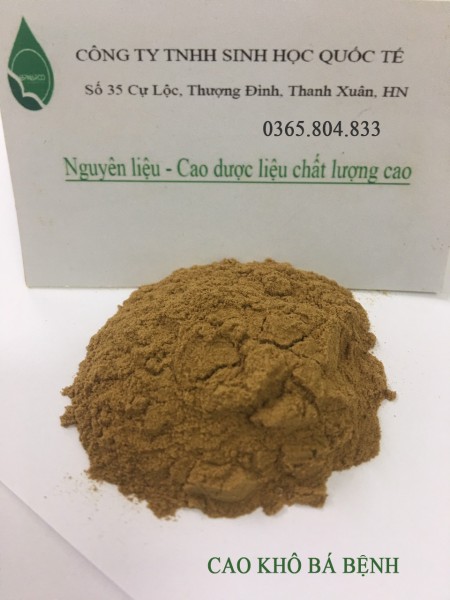 IBP cung cấp cao khô bá bệnh