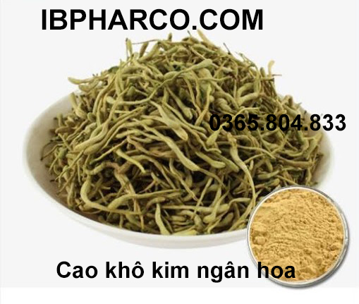IBP cung cấp cao khô kim ngân hoa
