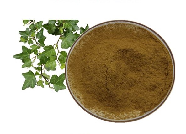 IBP cung cấp cao khô lá thường xuân