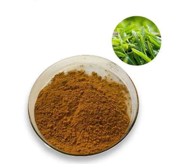 IBP cung cấp cao khô trà xanh