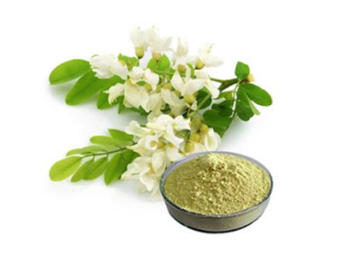 IBP cung cấp chiết xuất hoa hòe Rutin 95%