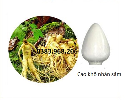 IBP cung cấp chiết xuất nhân sâm