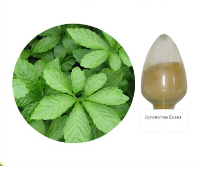 IBP cung cấp giảo cổ lam