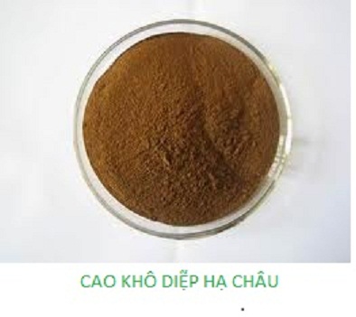 IBP cung cấp nguyên liệu cao khô diệp hạ châu