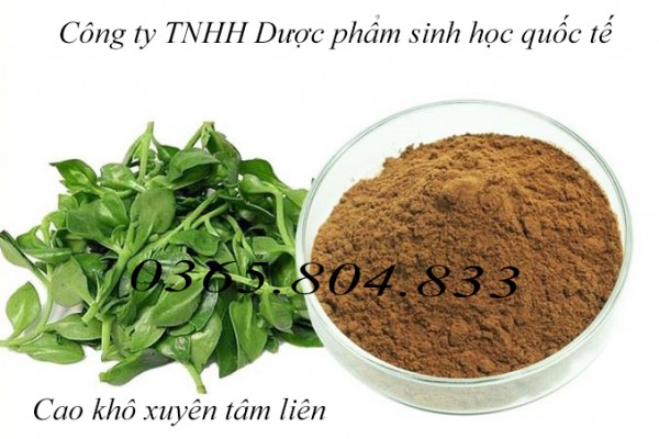 IBP cung cấp nguyên liệu cao khô xuyên tâm liên
