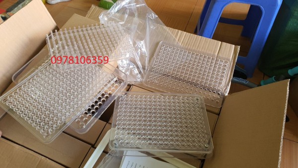 Khuôn đóng viên nang cứng 100v/ 200v bằng nhựa
