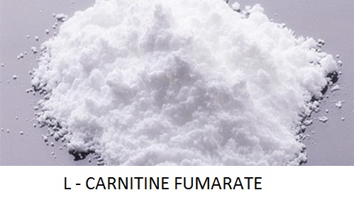 L- carnitine fumarate