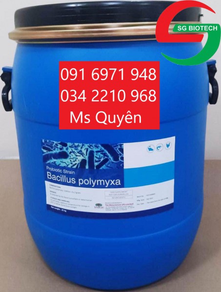 Men tiêu hóa vật nuôi Bacillus Polymyxa 
