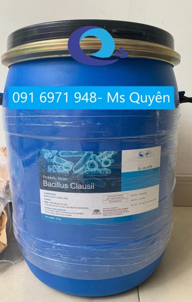 Mua bán men đường ruột Bacillus Clausii cho tôm cá
