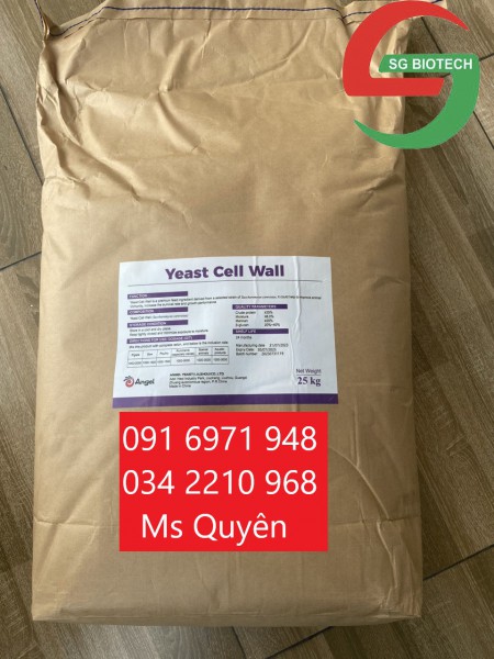 Mua bán sỉ betaglucan vách tế bào nấm men cho vật nuôi