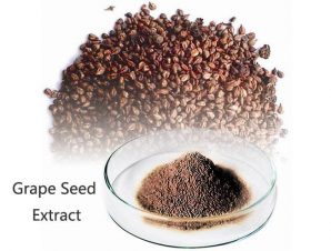 Nguyên liệu Cao khô hạt nho-Grape seed Extract