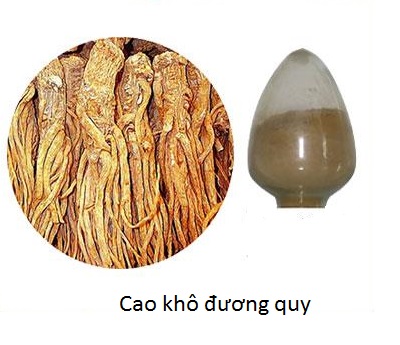 Nguyên liệu sản xuất thuốc và thực phẩm chức năng