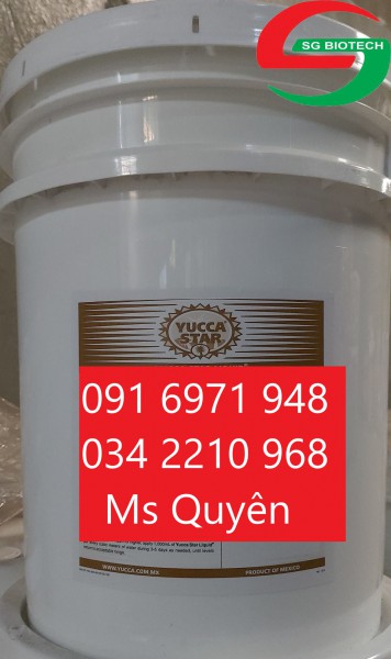 Nơi bán sỉ yucca Mexico nguyên liệu