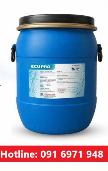 Phòng ngừa TPD ở tôm hiệu quả bằng ECUPRO