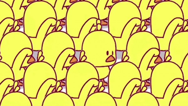 Tôi can hop tac DS co CCHN mo nha thuoc