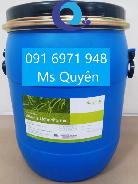 Vi sinh Bacillus licheniformis mua ở đâu giá tốt?